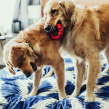 Two dogs playing with red chew toys on a bed. Toys visible in the animals' mouths.