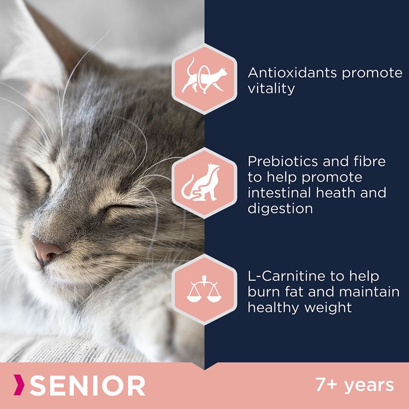 Eukanuba Top Condition 7+ Senior || undefined || view 2