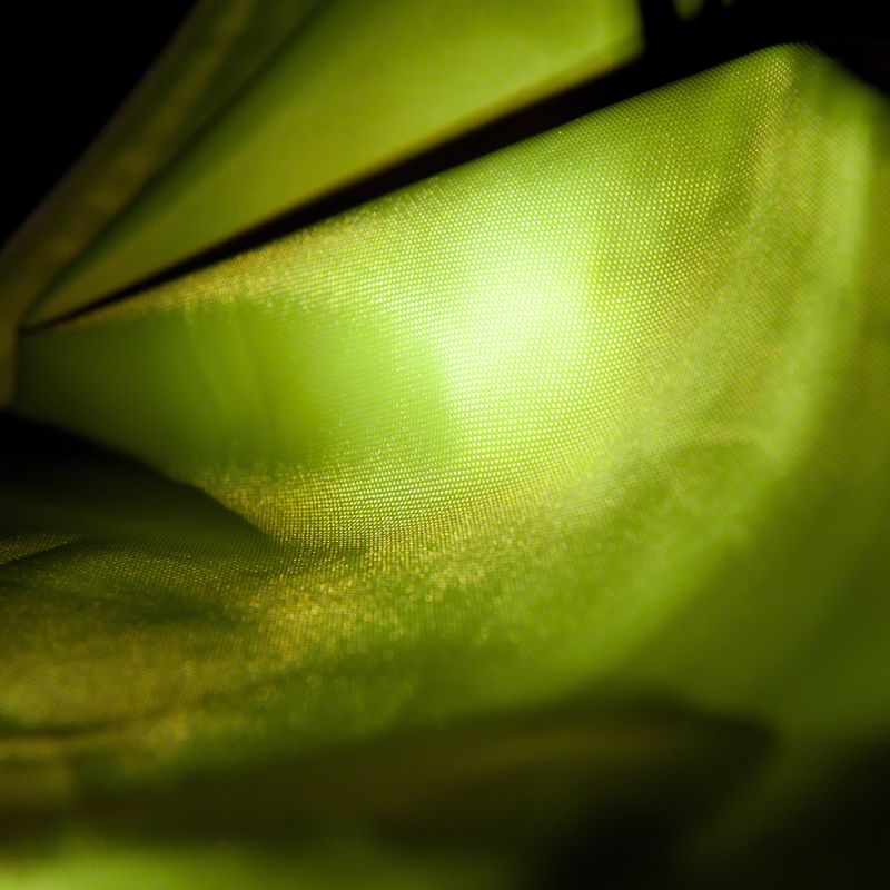 Illume Nite Dog Coat - Neon || zooplus Exclusive || view 3