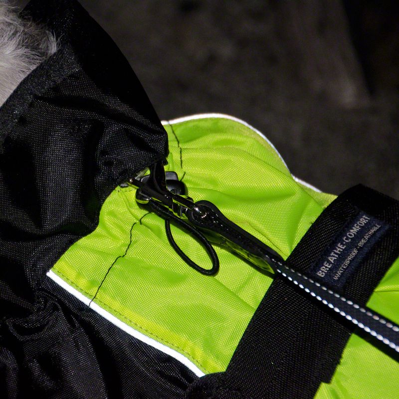 Illume Nite Dog Coat - Neon || zooplus Exclusive || view 5