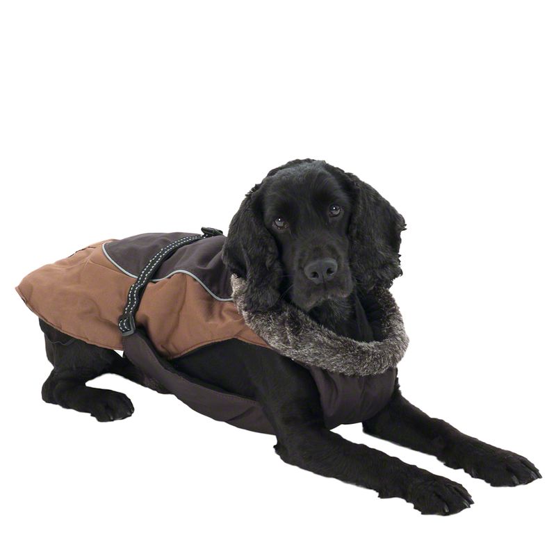Grizzly II Dog Coat || zooplus Exclusive || view 10