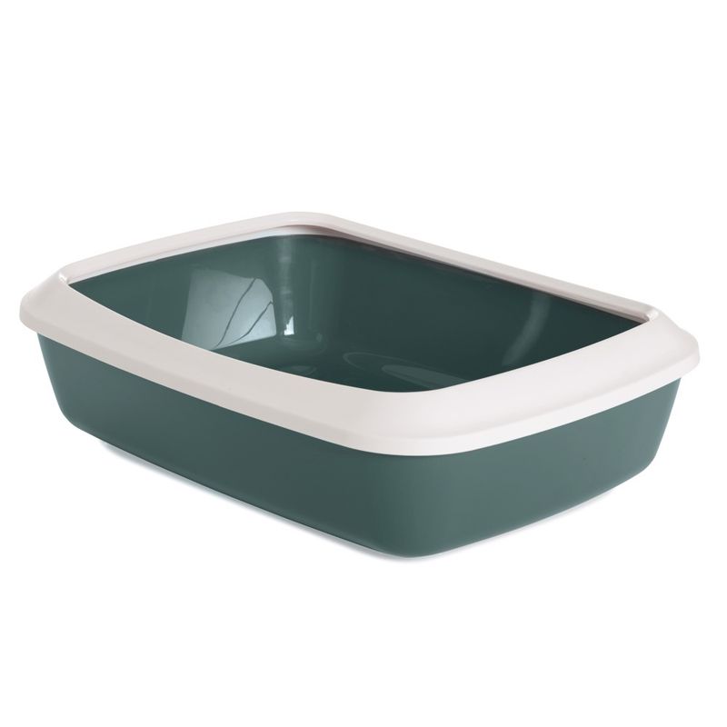Green cat litter tray with white rim, rectangular shape, made of plastic.
