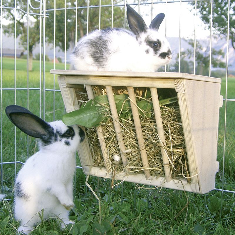 Wooden hay rack with bars, filled with hay and leaves. Two rabbits are eating from it, one is sitting on top of the rack.