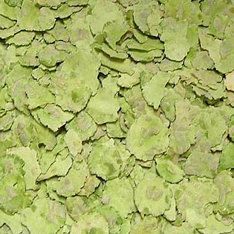 Pea Flakes || undefined || view 1