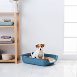 Savic Junior Toilet for Cats & Dogs