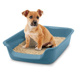 Blue cat litter box with litter, demonstrated by an animal.