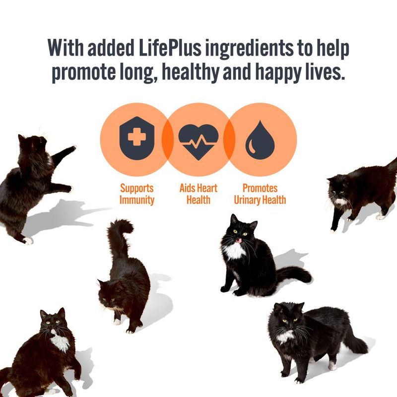 HiLife Adult Cat Pouches 32 x 70g || undefined || view 4