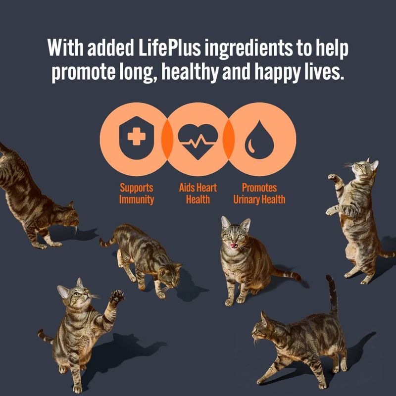 HiLife Adult Cat Pouches 32 x 70g || undefined || view 13