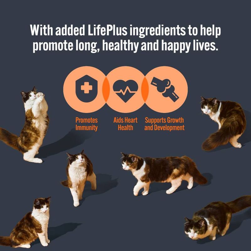 HiLife It's Only Natural Kitten Pouches 8 x 70g || undefined || view 2