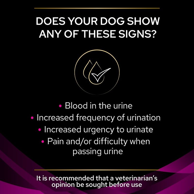 PURINA PRO PLAN Veterinary Diets UR Urinary || undefined || view 5