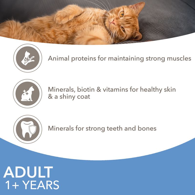 IAMS Advanced Nutrition Adult – Sea Collection || undefined || view 5