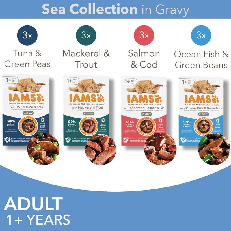 IAMS Advanced Nutrition Adult – Sea Collection || undefined || view 2