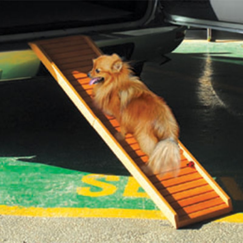 Wooden ramp for pets, showing a dog entering a car via the ramp.