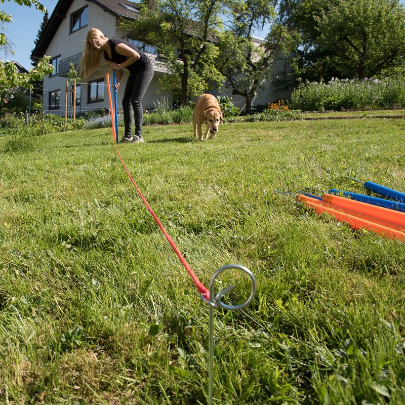 Fun & Sport Dog Agility Weave Poles || zooplus Exclusive || view 5