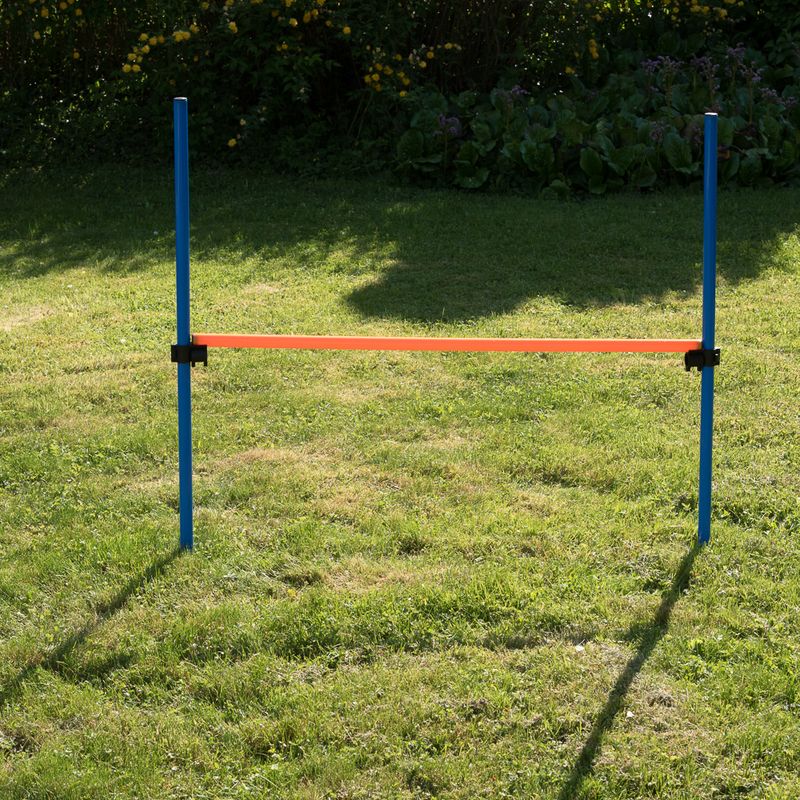 Fun & Sport Dog Agility Jumping Hoop || zooplus Exclusive || view 9