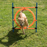 Fun & Sport Dog Agility Jumping Hoop || zooplus Exclusive || view 14