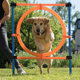 Fun & Sport Dog Agility Jumping Hoop || zooplus Exclusive || view 15