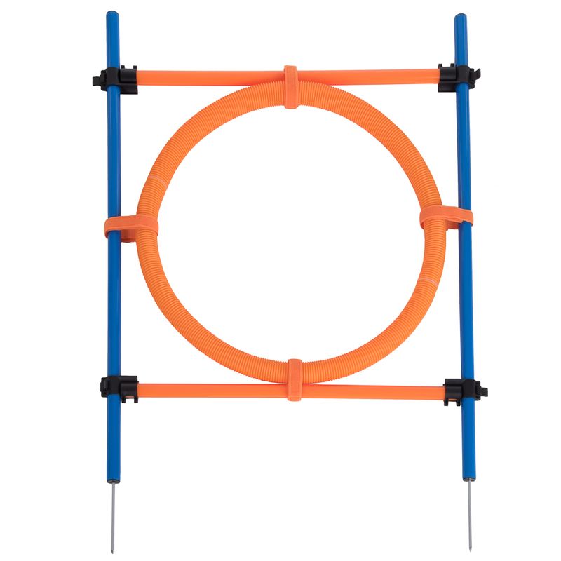 Fun & Sport Dog Agility Jumping Hoop || zooplus Exclusive || view 3