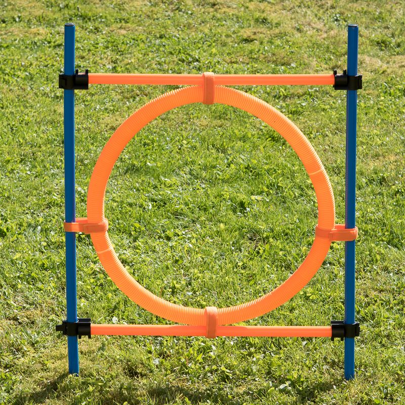Fun & Sport Dog Agility Jumping Hoop || zooplus Exclusive || view 2