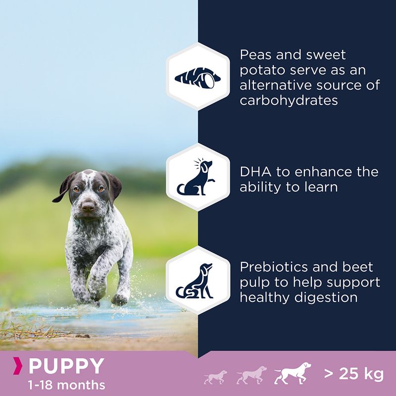 Eukanuba Grain-Free Large Breed Puppy with Ocean Fish || Eukanuba || view 4