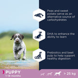 Eukanuba Grain-Free Large Breed Puppy with Ocean Fish || Eukanuba || view 4