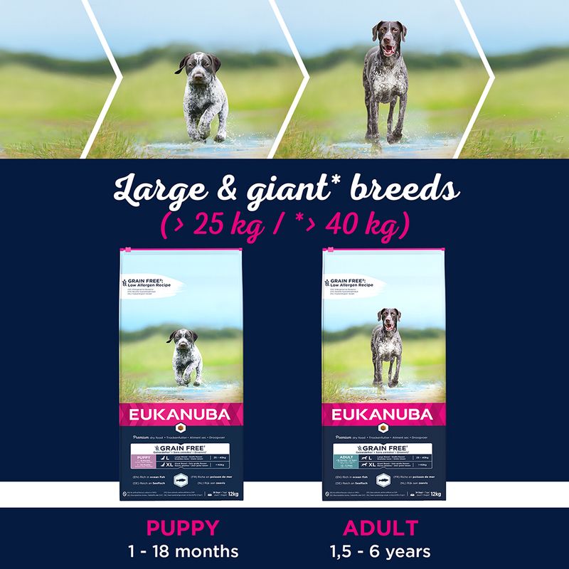 Eukanuba Grain-Free Large Breed Puppy with Ocean Fish || Eukanuba || view 7