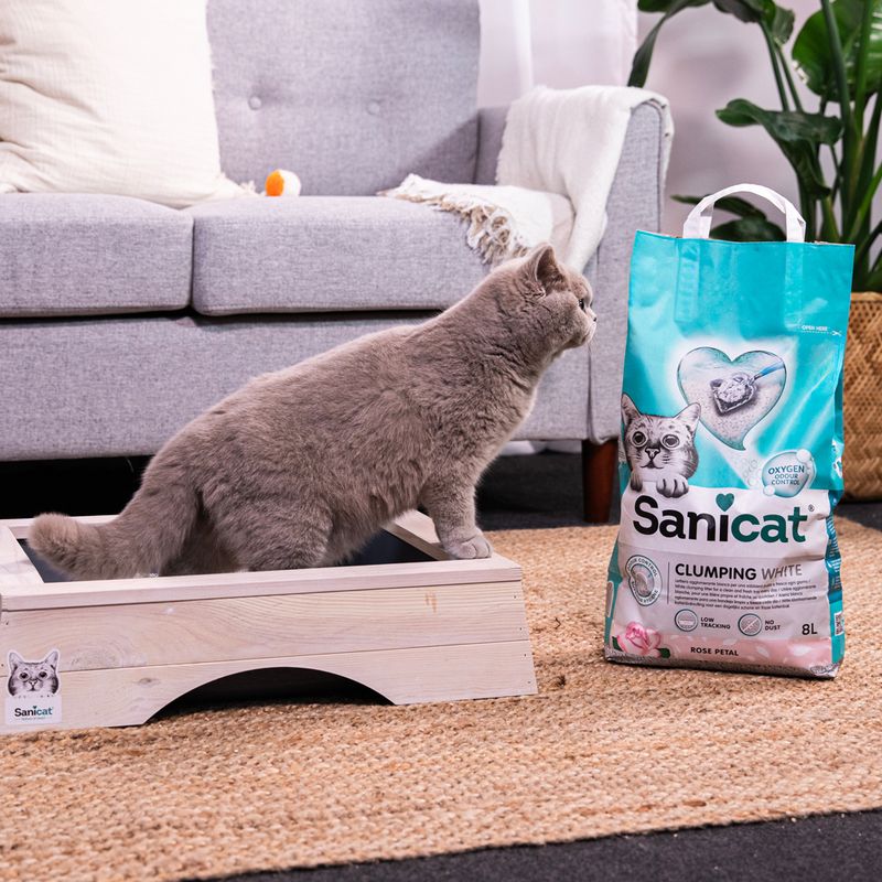 Sanicat Clumping White cat litter with Rose Petal scent, 8L. Low dust and odour binding. Cat standing in a wooden litter box next to the packaging.