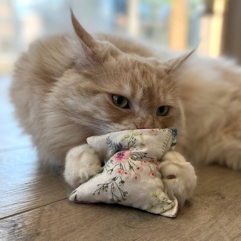 Beige cat playing with a small fabric cushion with floral pattern. Product shows use of a cat toy.