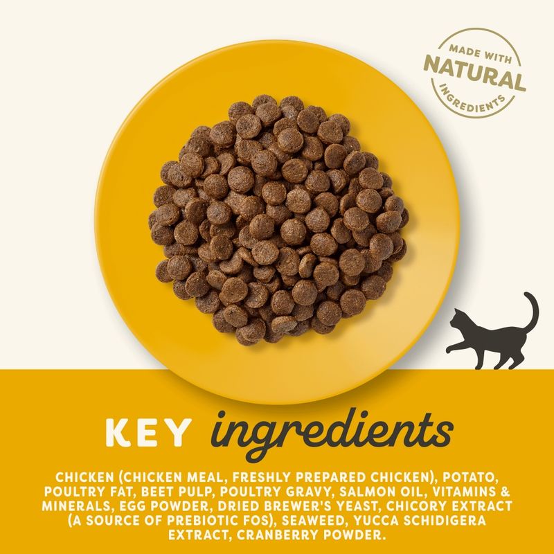 Applaws Cat Food Economy Packs || Applaws || view 3