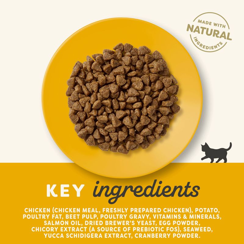 Applaws Cat Food for Kittens || undefined || view 5