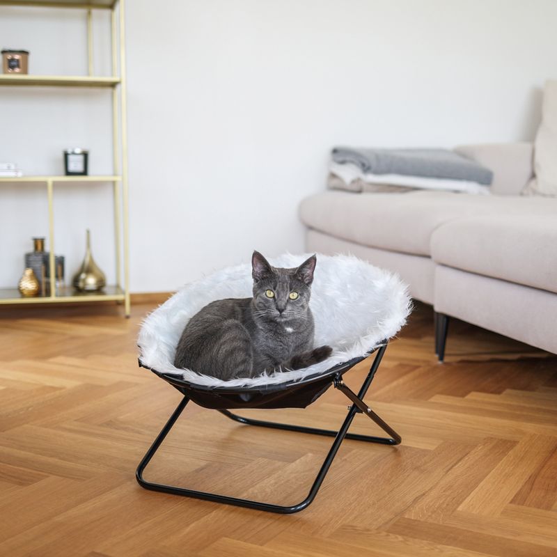 Grey cat sitting in a round, white plush bed with black metal frame in a living room with wooden floor and sofa in the background.