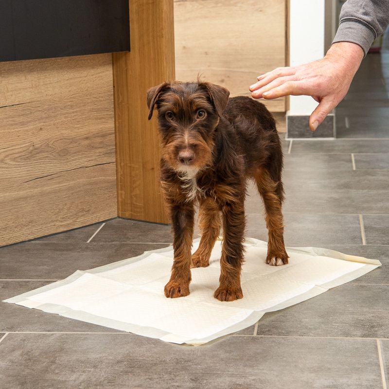 kooa Puppy Training Pads with Bamboo || kooa || view 4