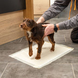 kooa Puppy Training Pads with Bamboo || kooa || view 3