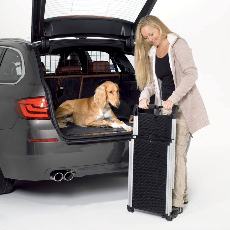 Dog lying in the open boot of a car. Woman holding a foldable dog ramp made of metal and plastic next to the car.