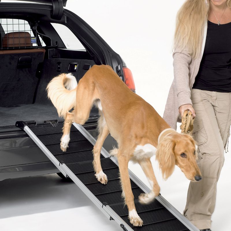 Dog uses a black, foldable ramp to exit a car. Woman holds the dog's lead. Suitable for safe entry and exit of pets.