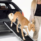 Dog uses a black, foldable ramp to exit a car. Woman holds the dog's lead. Suitable for safe entry and exit of pets.