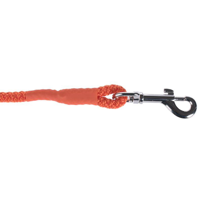 Heim Long Dog Training Lead - Orange || Heim || view 5