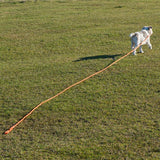 Heim Long Dog Training Lead - Orange || Heim || view 3