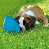 Brown dog playing with a blue toy egg on a green lawn.