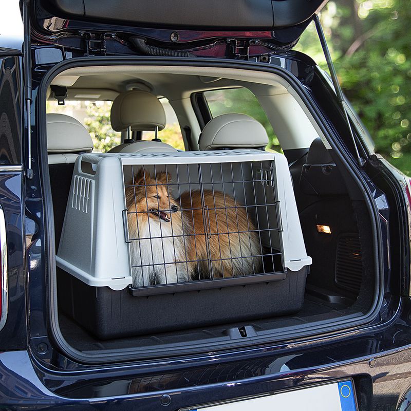 Plastic transport box with metal grid, placed in a car boot. Suitable for safe animal transport.