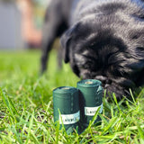 Two green rolls with the inscription 'kooa' on grass. In the background, a black dog sniffing the ground.