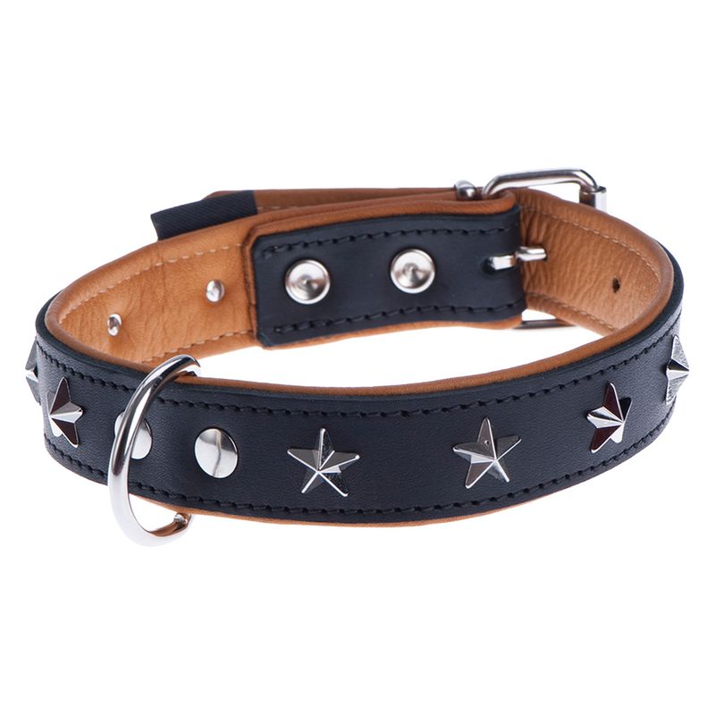 Black leather collar with silver star-shaped studs and metal buckle, shown open to display fastening and inner lining.