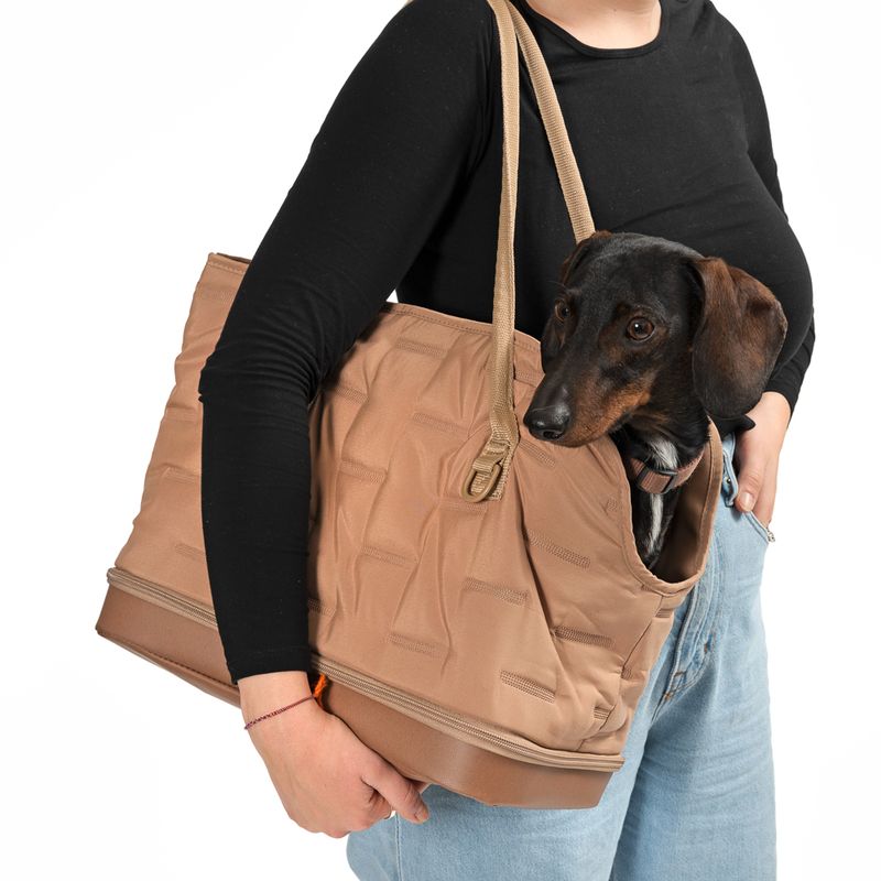 Brown carrier bag with dog, carried by a person. Bag has carrying handles and an opening for the dog's head.