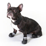 Sports & Protective Dog Boots || zooplus Exclusive || view 8