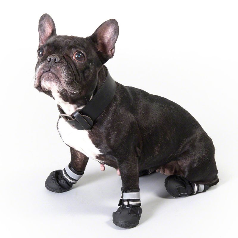 Sports & Protective Dog Boots || zooplus Exclusive || view 8