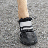Sports & Protective Dog Boots || zooplus Exclusive || view 11