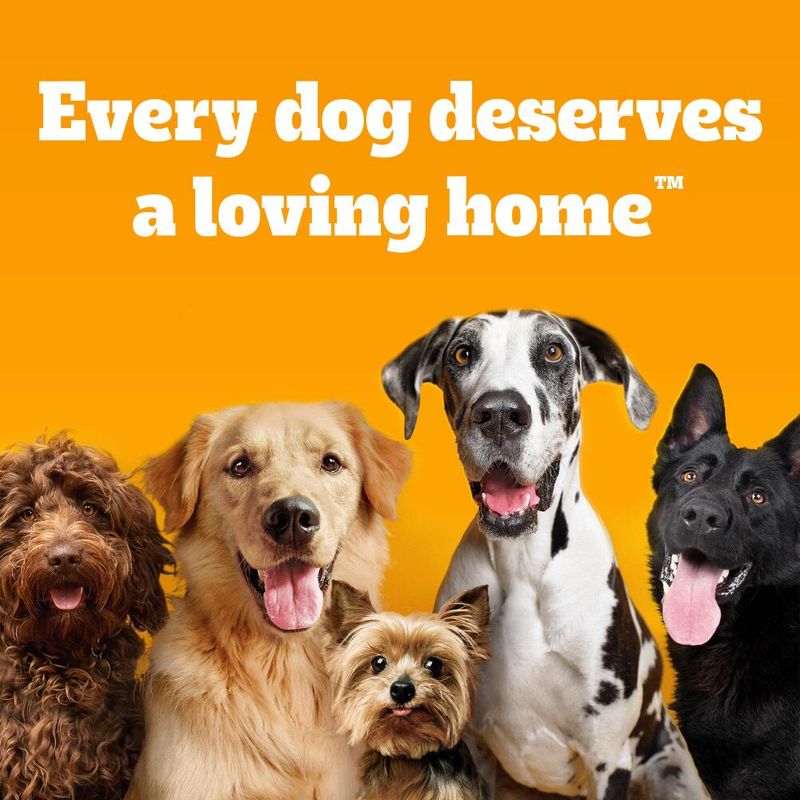 Pedigree Pouch in Gravy Multipack || undefined || view 10