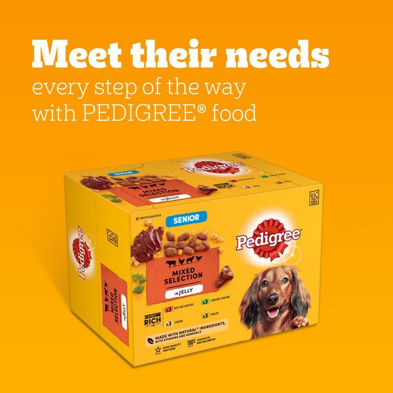 Pedigree Senior Pouch in Jelly Multipack || Pedigree || view 7