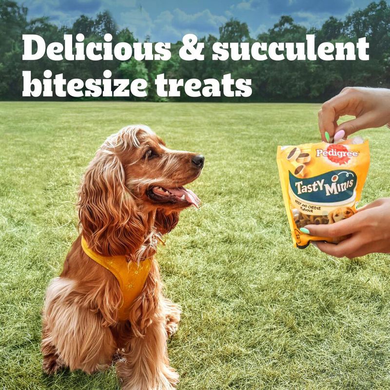 Pedigree Mini Bites || Pedigree || view 7