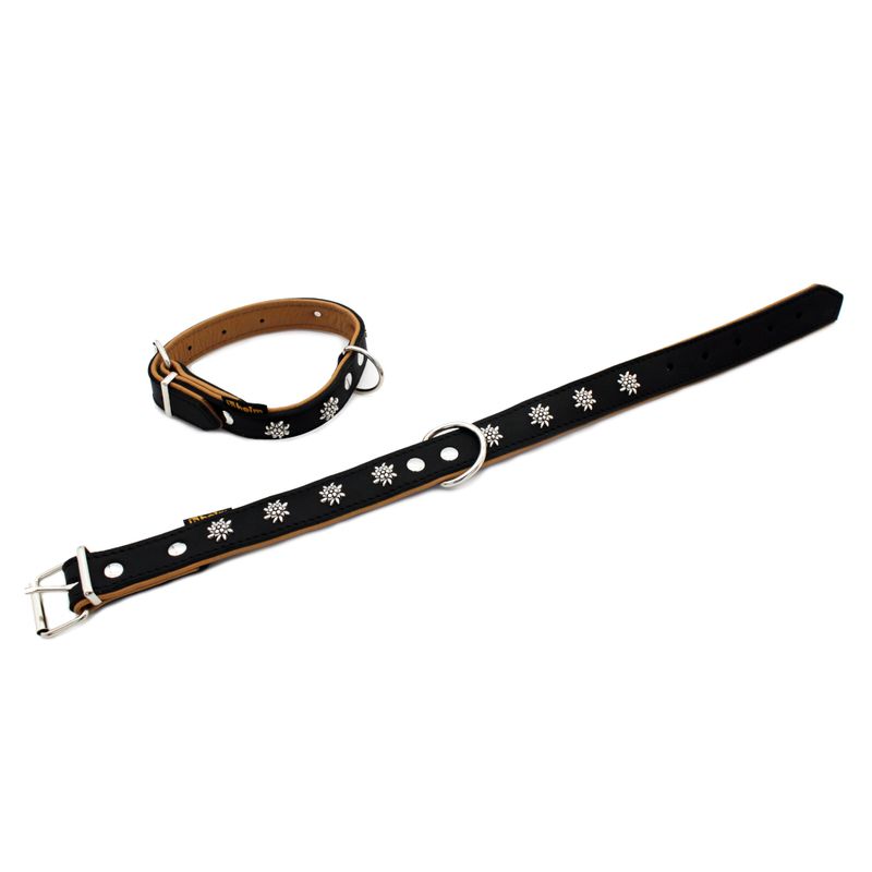 Black dog collar and lead with silver snowflake decorations, metal clasp and adjustable holes.